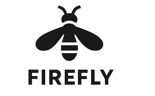 Logo 4